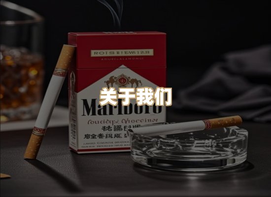 关于逸客网